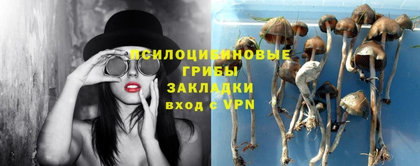 ГАЛЛЮЦИНОГЕННЫЕ ГРИБЫ Покачи