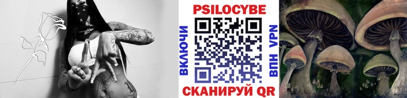 Галлюциногенные грибы Magic Shrooms  мега онион  Адыгейск 